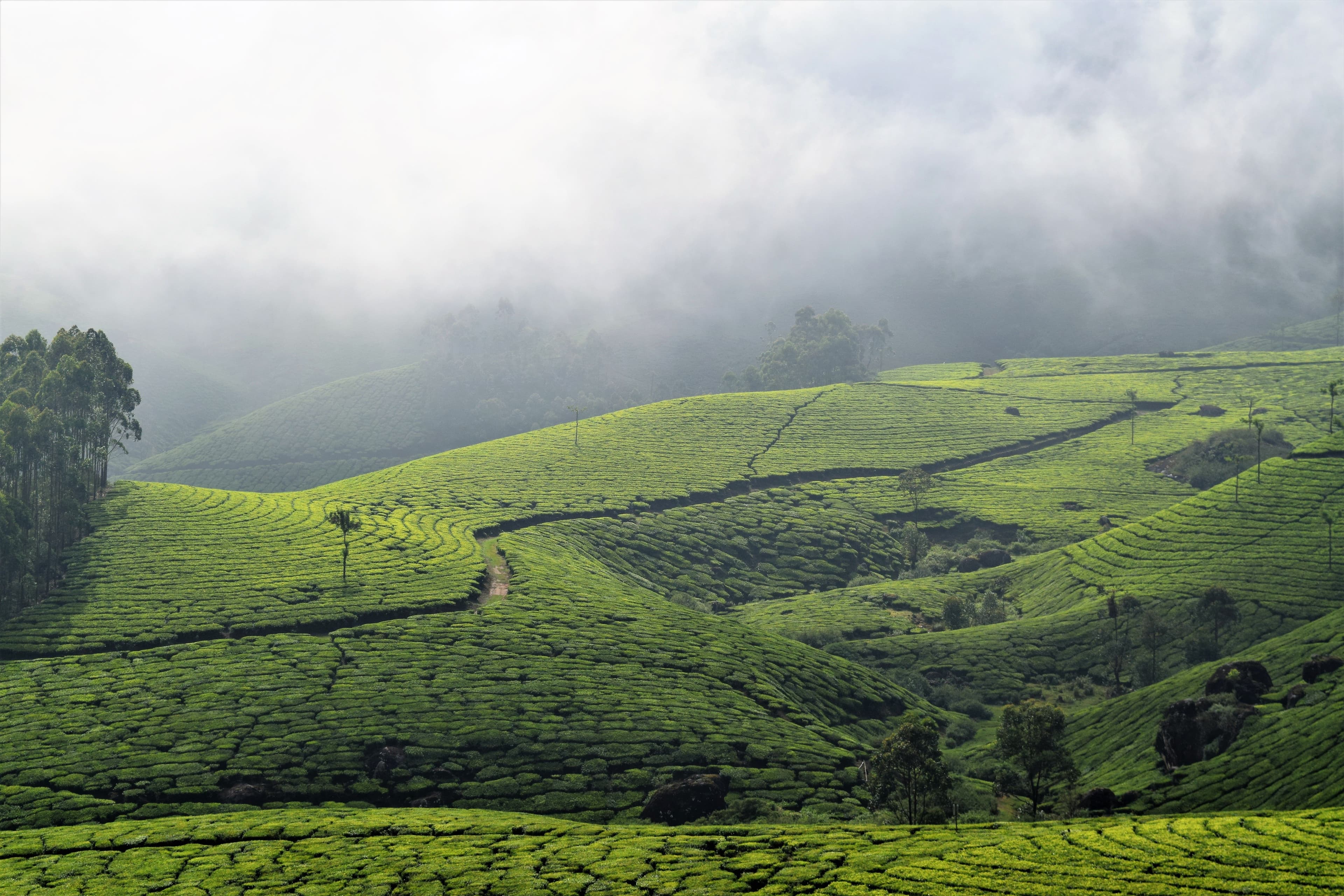Peaceful landscape in India